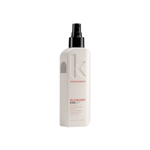 kevin murphy blow.dry ever.lift volume icon hairspa