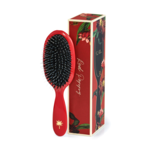 brush bristel brush hårbørste icon hairspa fan palm